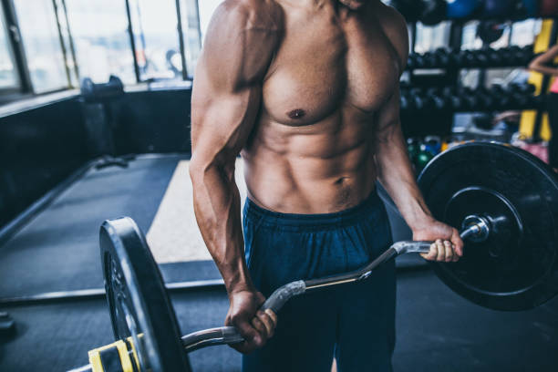Top 5 Beginner Workouts for Total Body Fitness