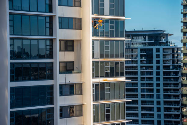 What to Expect from Quality Cleaning Services in Sydney: A Comprehensive Overview