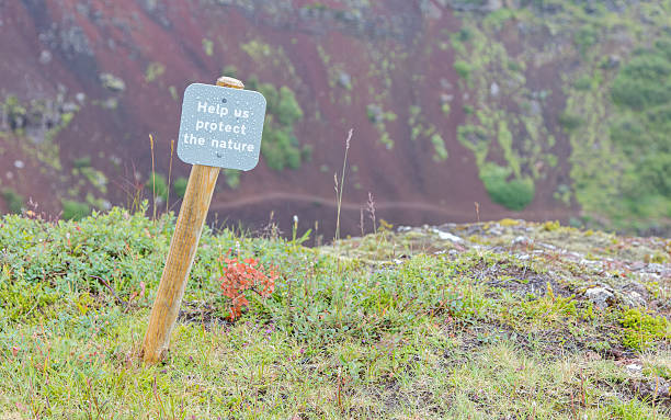 Thriving Where Nature Tests You: Tips for Harsh Environments