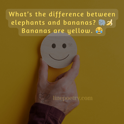 Knock knock jokes for 3 year olds