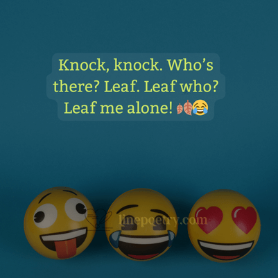 Knock knock jokes for 5 year olds