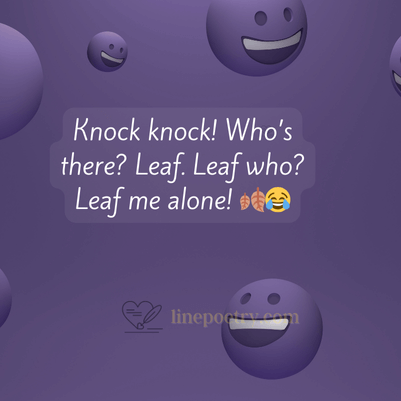 Knock knock jokes for 5 year olds