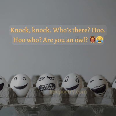 Knock knock jokes for 5 year olds