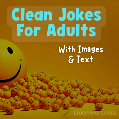 clean jokes for adults