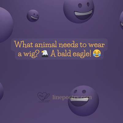 Toddler jokes 5 year old