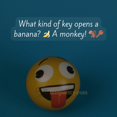 Toddler jokes 5 year old