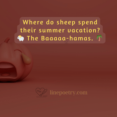 Toddler jokes 5 year old