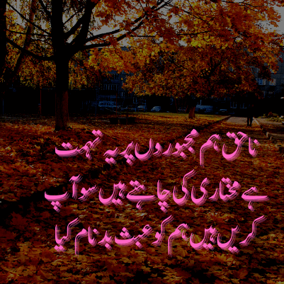 meer taqi meer poetry in urdu