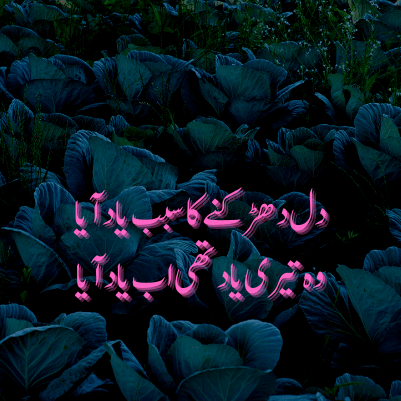 nasir kazmi best poetry in urdu