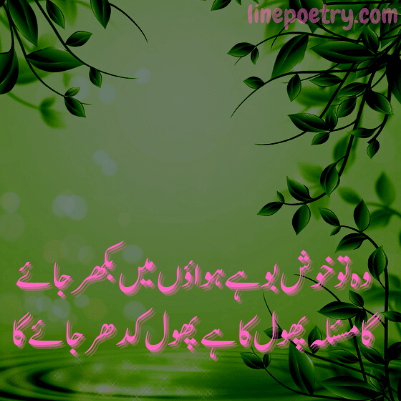 parveen shakir best poetry