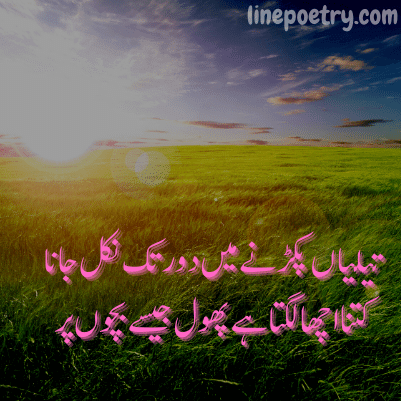 parveen shakir best poetry