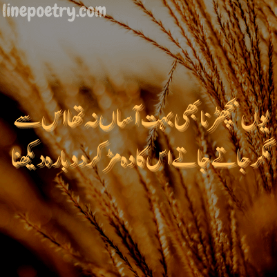 parveen shakir best poetry