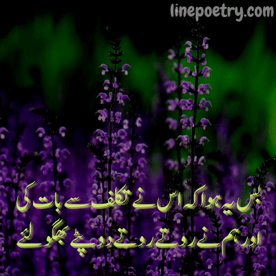 parveen shakir best poetry