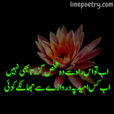 parveen shakir best poetry