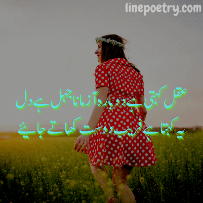 350+ Friendship Poetry In Urdu Two Lines Sms - Linepoetry
