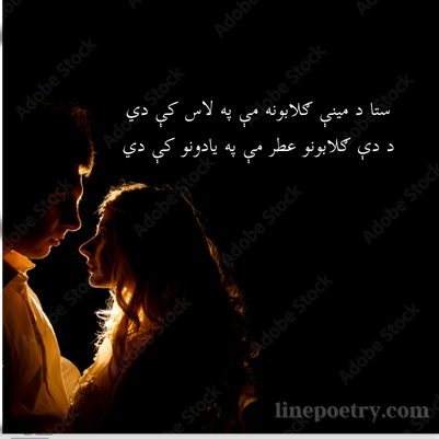 pashto poetry text