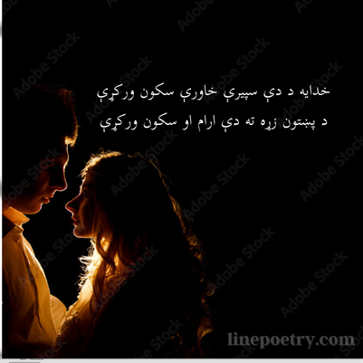 pashto poetry text