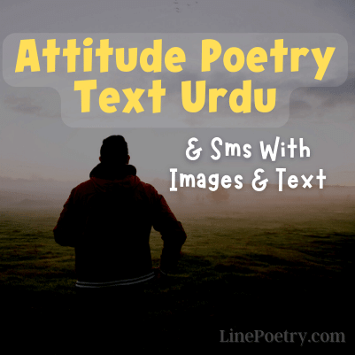 urdu text poetry attitude