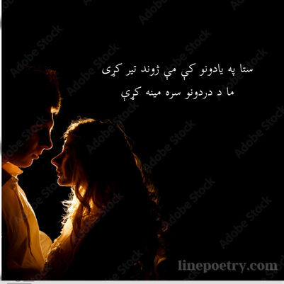 pashto poetry text