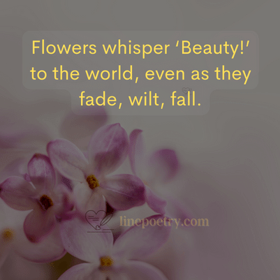 inspirational short flower quotes