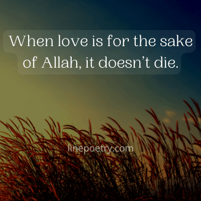 husband and wife quotes in quran & islam