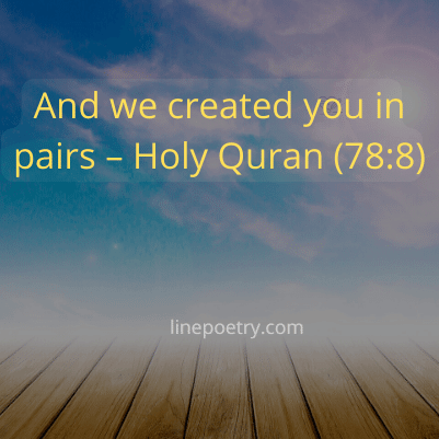 husband and wife quotes in quran & islam