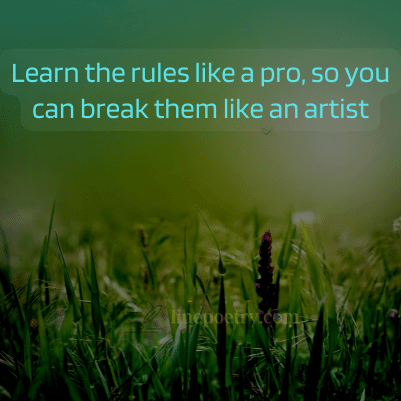 painting quotes & captions and sayings