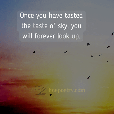 beautiful sky quotes about life