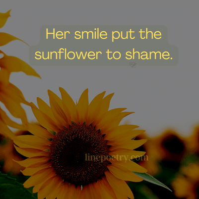 130+ Short Sunflower Quotes To Learn Progress - Linepoetry