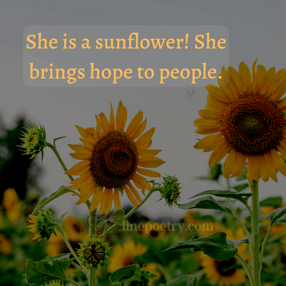 sunflower quotes for instagram