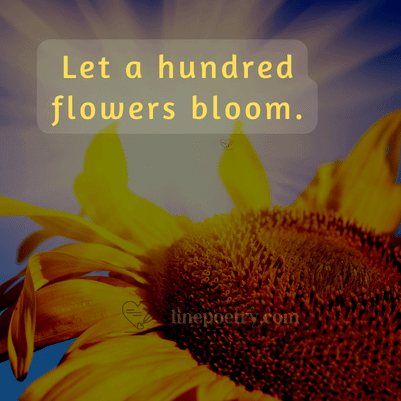 sunflower quotes for instagram