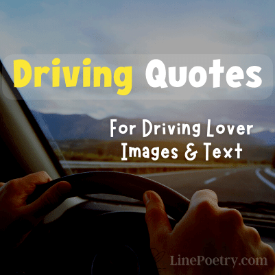 driving quotes