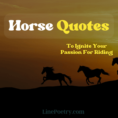 horse quotes