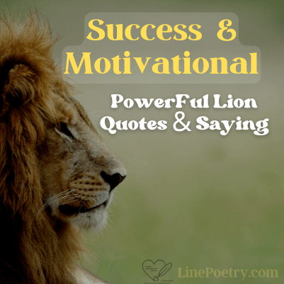 lion quotes