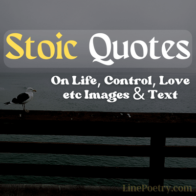 70+ Stoic Quotes On Your Life, Control, Love & Happiness