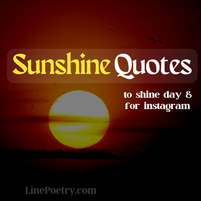 sunshine quotes
