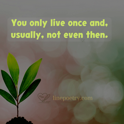you only live once quotes