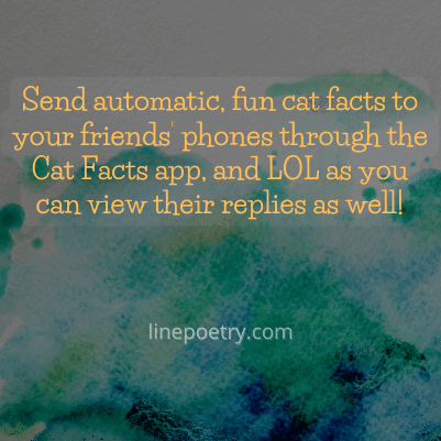 Send automatic, fun cat facts ... best april fools pranks images, text