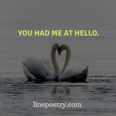 You had me🌸🌸 at hello.... quotes for valentine's day, happy valentine's day