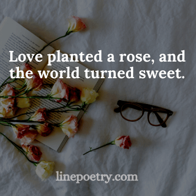 Love planted a rose🥀🥀, a... quotes for valentine's day, happy valentine's day