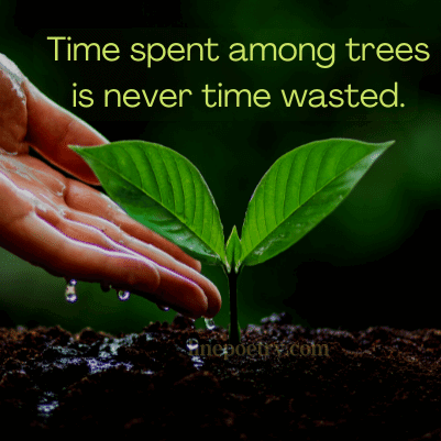 Time spent among trees is neve... World Environment Day Quotes and Slogans