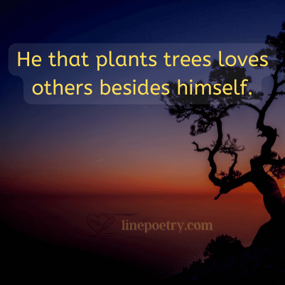 He that plants trees loves oth... World Environment Day Quotes and Slogans
