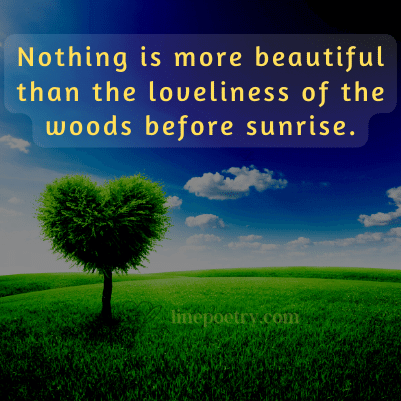 Nothing is more beautiful than... World Environment Day Quotes and Slogans