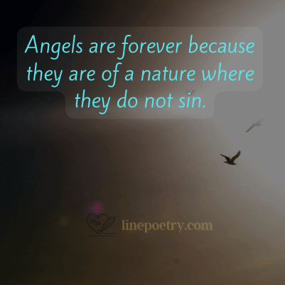 angel wishes, messages & quotes