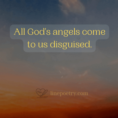 angel wishes, messages & quotes