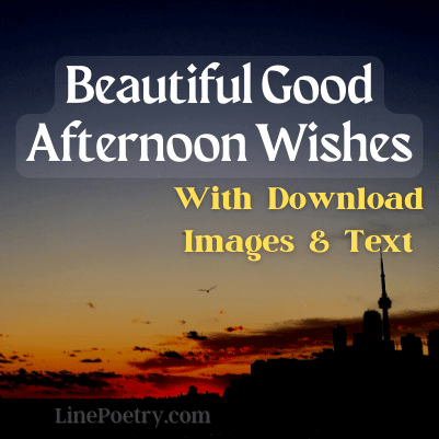 afternoon wishes