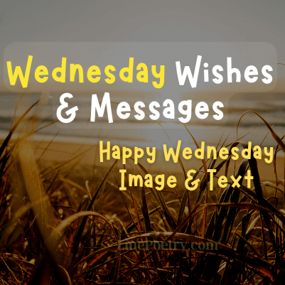 wednesday wishes messages