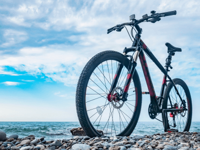 Hybrid Bike