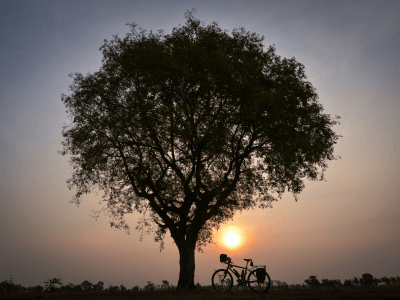 Touring Bike